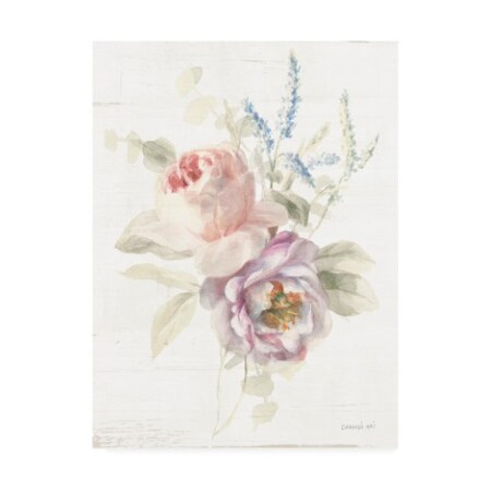 Trademark Fine Art Danhui Nai 'Cottage Garden V' Canvas Art, 24x32 WAP11339-C2432GG